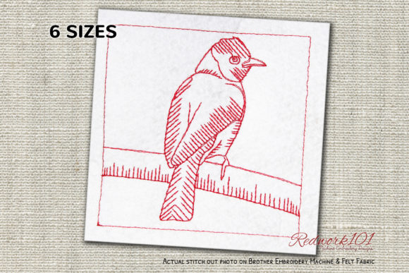 African Red-Eyed Bulbul Redwork Review