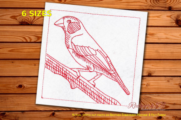 Finche Bird Redwork Embroidery Review